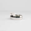 Platinum Band - Image 2